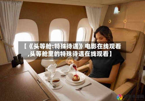 【《头等舱:特殊待遇》电影在线观看,头等舱里的特殊待遇在线观看】-第1张图片