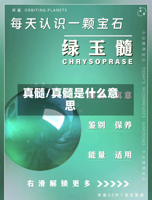 真髓/真髓是什么意思-第2张图片