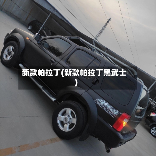 新款帕拉丁(新款帕拉丁黑武士)-第1张图片