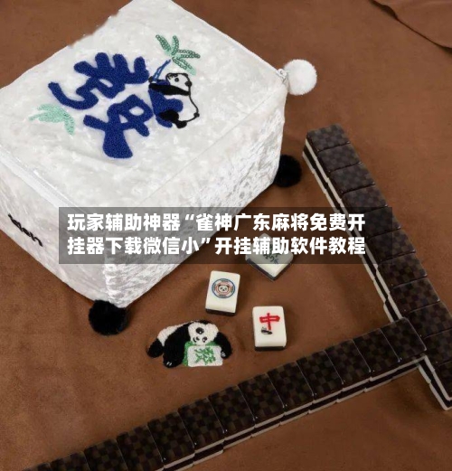 玩家辅助神器“雀神广东麻将免费开挂器下载微信小”开挂辅助软件教程-第3张图片