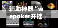 辅助神器“wepoker开挂透视方法教程”科技辅助神器手机版教程-第1张图片