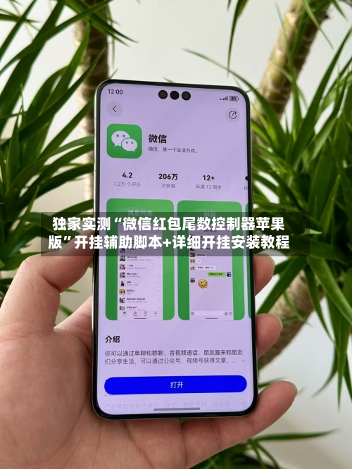 独家实测“微信红包尾数控制器苹果版	”开挂辅助脚本+详细开挂安装教程-第1张图片