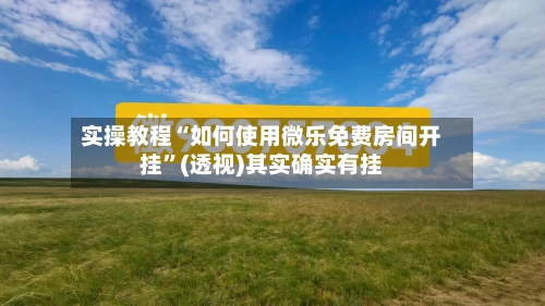 实操教程“如何使用微乐免费房间开挂	”(透视)其实确实有挂-第2张图片