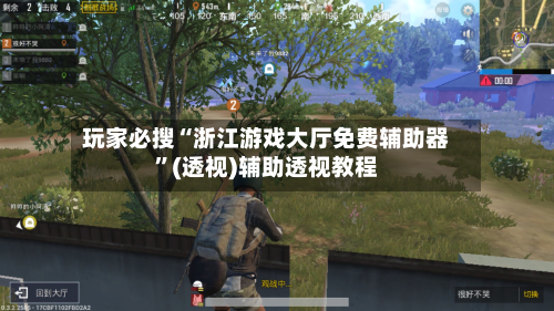 玩家必搜“浙江游戏大厅免费辅助器”(透视)辅助透视教程-第3张图片