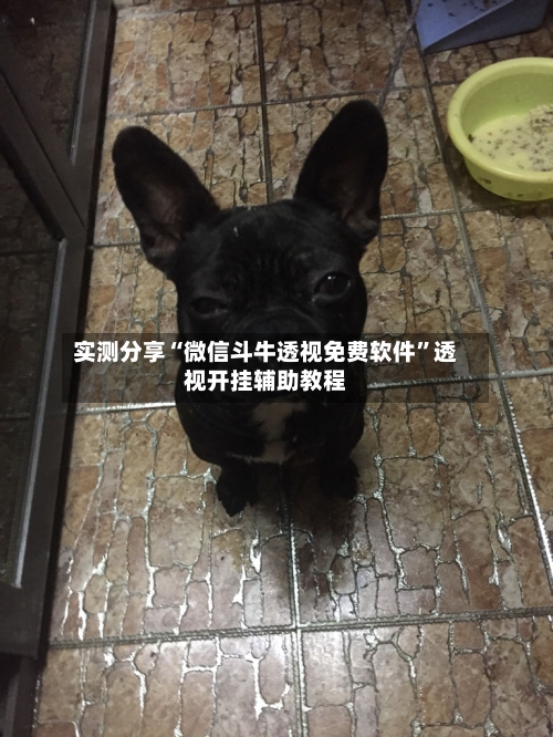 实测分享“微信斗牛透视免费软件	”透视开挂辅助教程-第3张图片