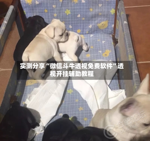 实测分享“微信斗牛透视免费软件”透视开挂辅助教程-第1张图片