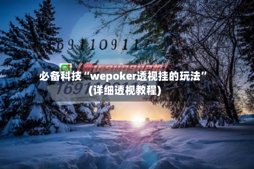 必备科技“wepoker透视挂的玩法	”(详细透视教程)-第1张图片