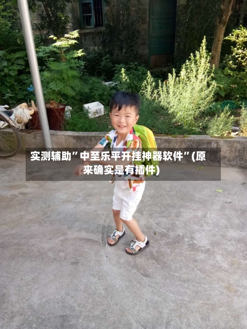 实测辅助”中至乐平开挂神器软件”(原来确实是有插件)-第1张图片