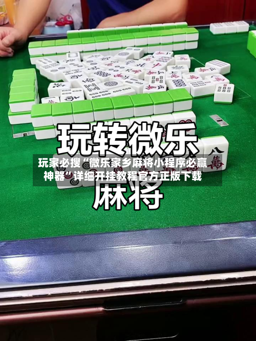 玩家必搜“微乐家乡麻将小程序必赢神器”详细开挂教程官方正版下载-第2张图片