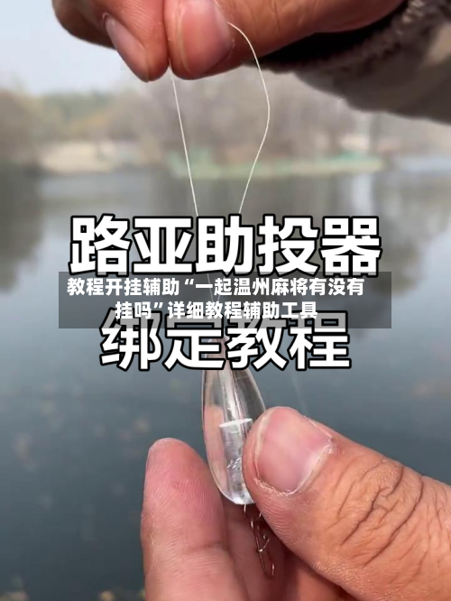 教程开挂辅助“一起温州麻将有没有挂吗”详细教程辅助工具-第2张图片