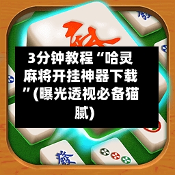 3分钟教程“哈灵麻将开挂神器下载	”(曝光透视必备猫腻)-第2张图片