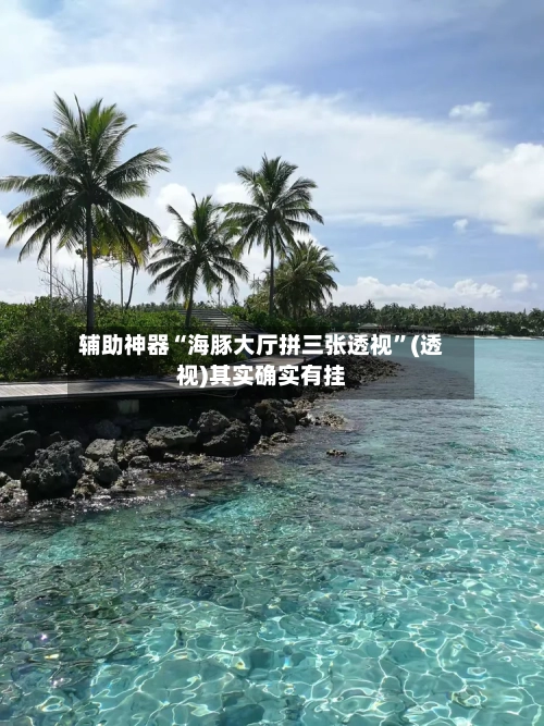 辅助神器“海豚大厅拼三张透视”(透视)其实确实有挂-第1张图片