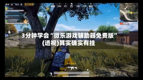 3分钟学会“微乐游戏辅助器免费版	”(透视)其实确实有挂-第1张图片