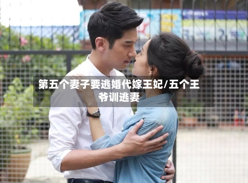 第五个妻子要逃婚代嫁王妃/五个王爷训逃妻-第2张图片