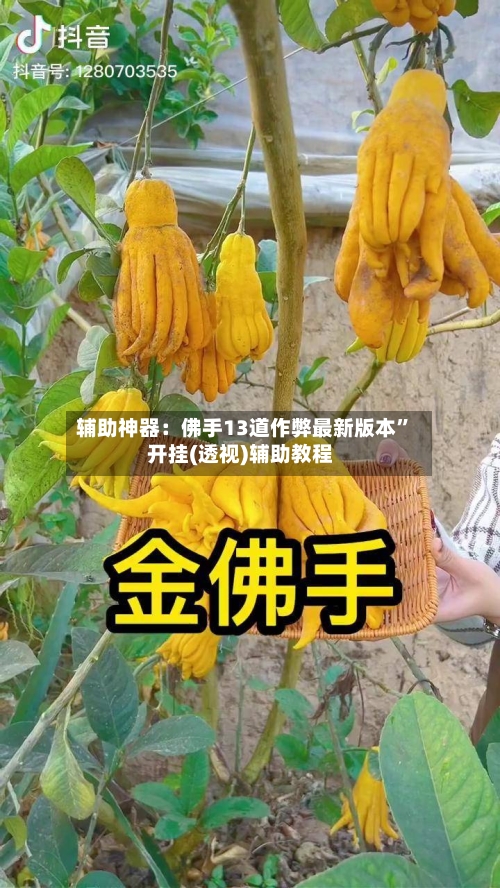 辅助神器：佛手13道作弊最新版本	”开挂(透视)辅助教程-第2张图片