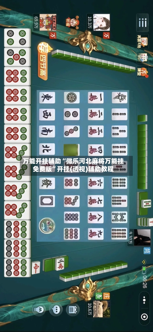 万能开挂辅助“微乐河北麻将万能挂免费版”开挂(透视)辅助教程-第3张图片