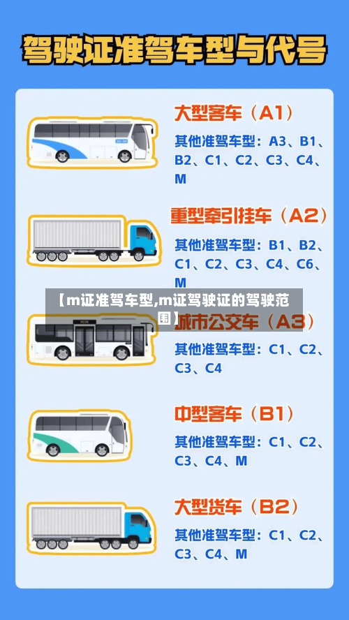 【m证准驾车型,m证驾驶证的驾驶范围】-第1张图片