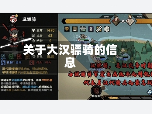 关于大汉骠骑的信息-第2张图片