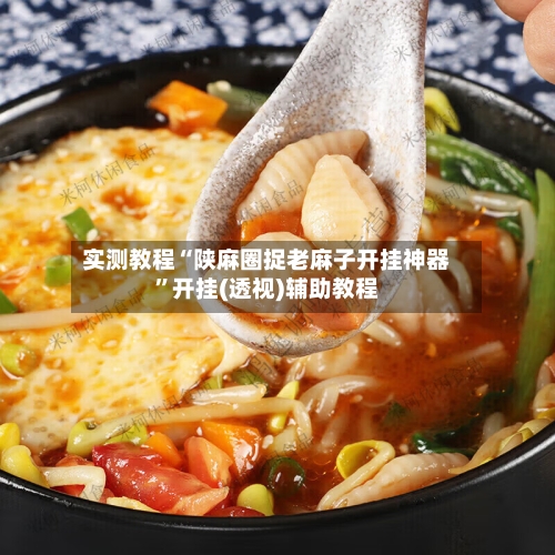 实测教程“陕麻圈捉老麻子开挂神器	”开挂(透视)辅助教程-第3张图片