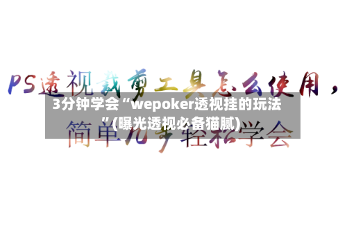 3分钟学会“wepoker透视挂的玩法”(曝光透视必备猫腻)-第1张图片