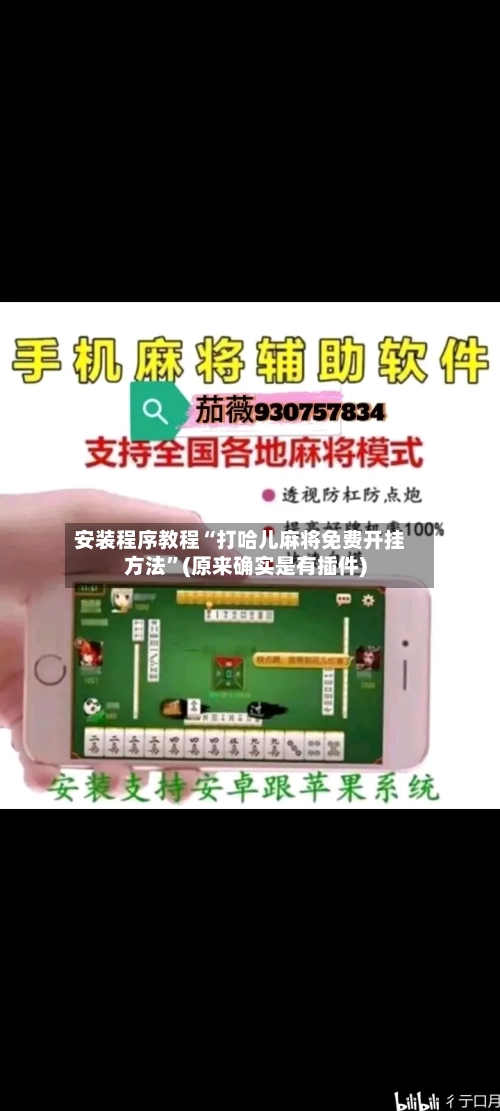 安装程序教程“打哈儿麻将免费开挂方法	”(原来确实是有插件)-第1张图片