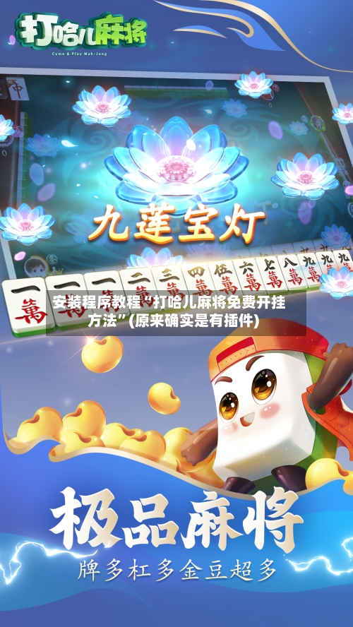 安装程序教程“打哈儿麻将免费开挂方法”(原来确实是有插件)-第3张图片