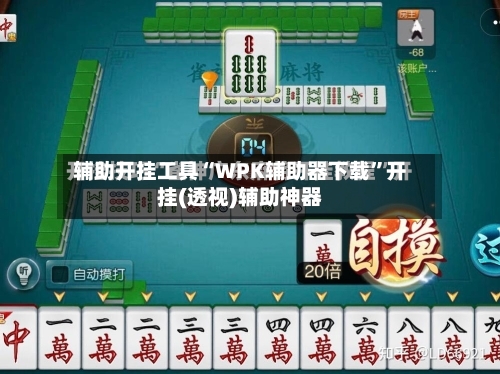 辅助开挂工具“WPK辅助器下载”开挂(透视)辅助神器-第3张图片