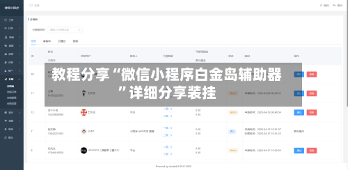 教程分享“微信小程序白金岛辅助器	”详细分享装挂-第1张图片