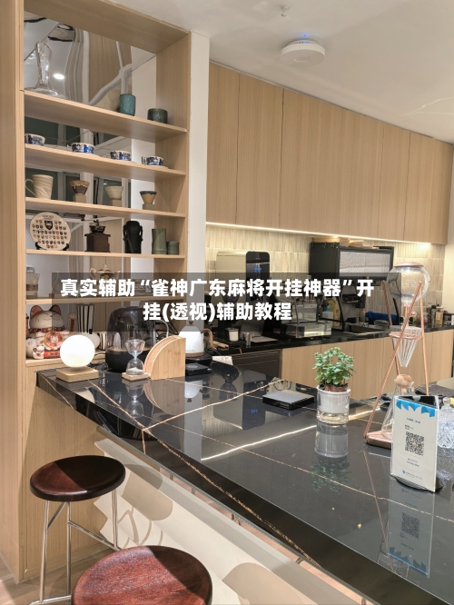 真实辅助“雀神广东麻将开挂神器”开挂(透视)辅助教程-第1张图片