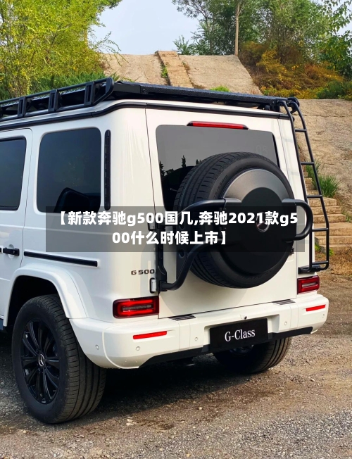 【新款奔驰g500国几,奔驰2021款g500什么时候上市】-第1张图片