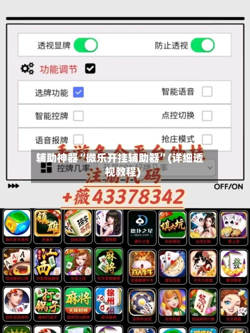 辅助神器“微乐开挂辅助器”(详细透视教程)-第2张图片