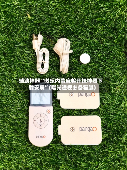 辅助神器“微乐内蒙麻将开挂神器下载安装”(曝光透视必备猫腻)-第1张图片