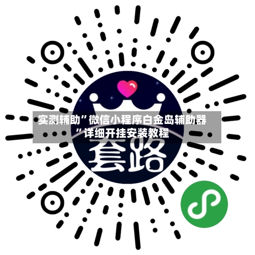 实测辅助	”微信小程序白金岛辅助器”详细开挂安装教程-第2张图片