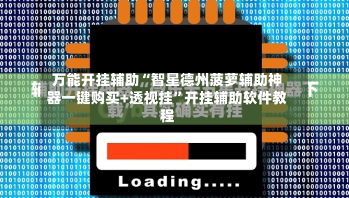 万能开挂辅助“智星德州菠萝辅助神器一键购买+透视挂”开挂辅助软件教程-第2张图片