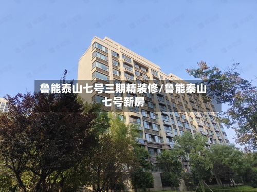 鲁能泰山七号三期精装修/鲁能泰山七号新房-第2张图片