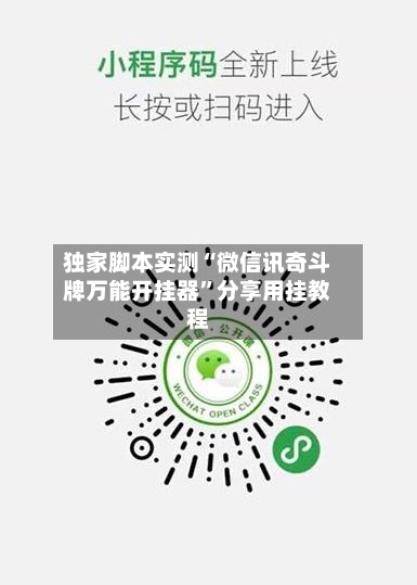 独家脚本实测“微信讯奇斗牌万能开挂器”分享用挂教程-第2张图片