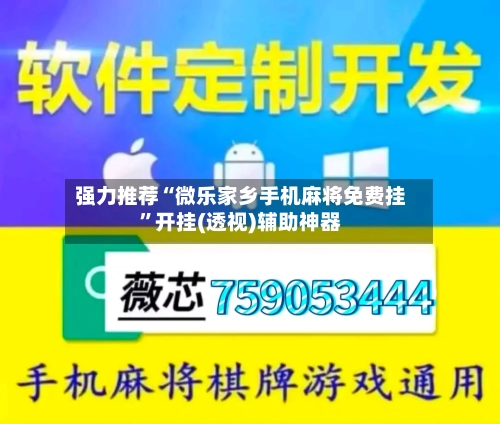 强力推荐“微乐家乡手机麻将免费挂”开挂(透视)辅助神器-第3张图片