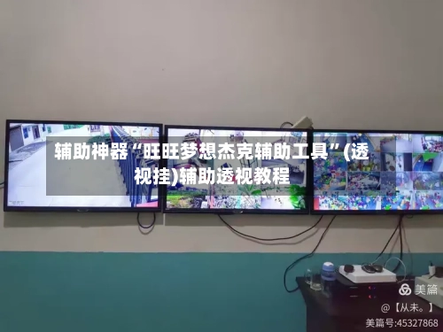辅助神器“旺旺梦想杰克辅助工具	”(透视挂)辅助透视教程-第2张图片