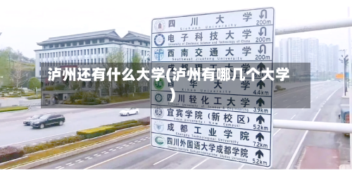 泸州还有什么大学(泸州有哪几个大学)-第3张图片