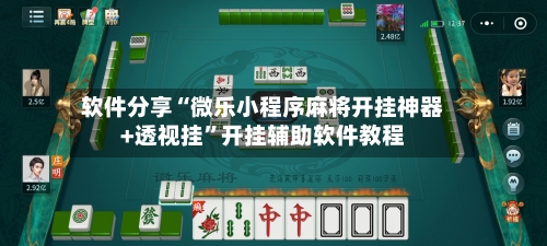 软件分享“微乐小程序麻将开挂神器+透视挂”开挂辅助软件教程-第2张图片