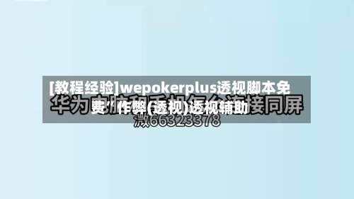 [教程经验]wepokerplus透视脚本免费”作弊(透视)透视辅助-第2张图片