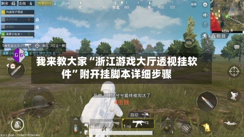 我来教大家“浙江游戏大厅透视挂软件	”附开挂脚本详细步骤-第2张图片