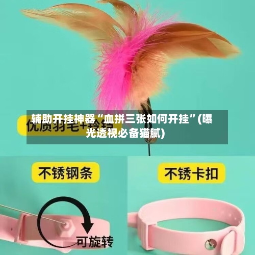 辅助开挂神器“血拼三张如何开挂”(曝光透视必备猫腻)-第3张图片