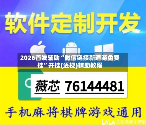 2026首发辅助“微信链接新道游免费挂”开挂(透视)辅助教程-第2张图片