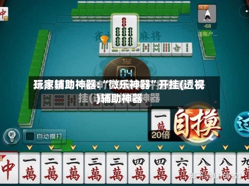 玩家辅助神器:“微乐神器”开挂(透视)辅助神器-第2张图片