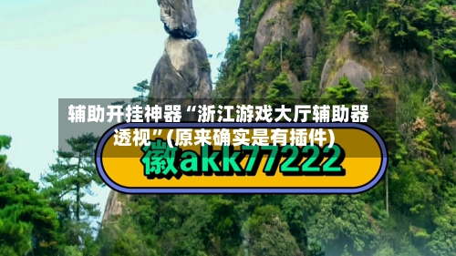 辅助开挂神器“浙江游戏大厅辅助器透视	”(原来确实是有插件)-第2张图片