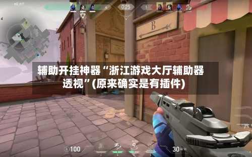 辅助开挂神器“浙江游戏大厅辅助器透视”(原来确实是有插件)-第3张图片