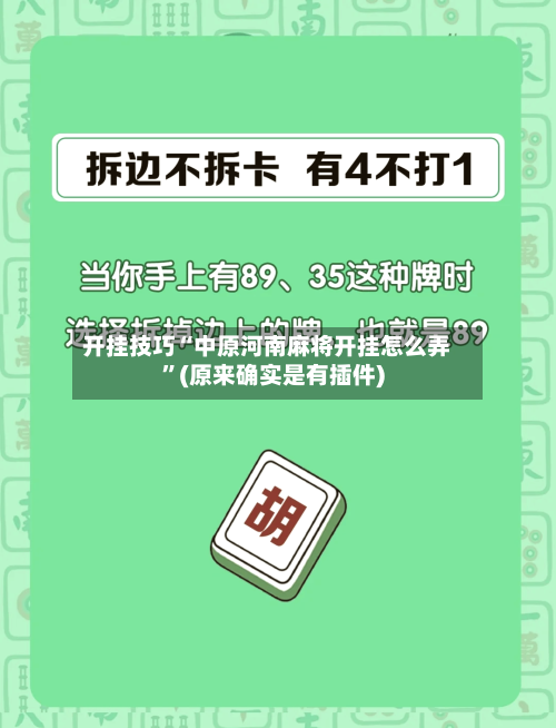 开挂技巧“中原河南麻将开挂怎么弄	”(原来确实是有插件)-第3张图片