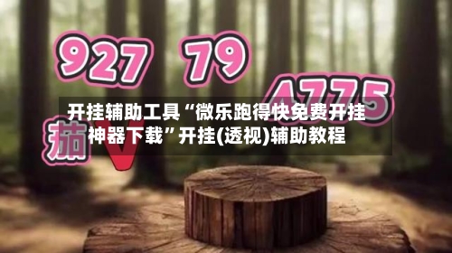 开挂辅助工具“微乐跑得快免费开挂神器下载”开挂(透视)辅助教程-第2张图片