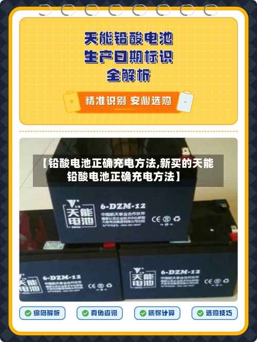【铅酸电池正确充电方法,新买的天能铅酸电池正确充电方法】-第2张图片